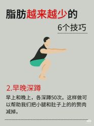 -玛莲朵·海菲秀冰珀科