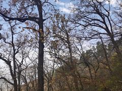 -终南山南五台景区