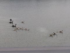 iphone_upload_pic-南京汤山紫清湖生态旅游温泉度假区