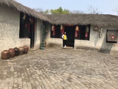 -溱湖国家湿地公园