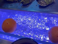 -长沙三景韦尔斯利酒店·Oval全日制餐厅自助餐
