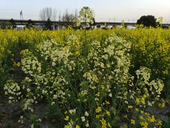 -临平南高铁站(地铁站)