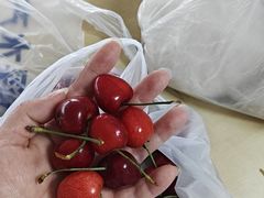 -好口味小吃楼·东北菜(太原南街店)