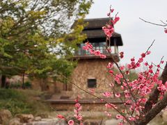 -杭州植物园
