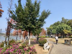 -飞来湖湿地公园