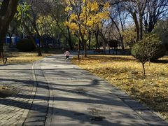 -元大都城垣遗址公园