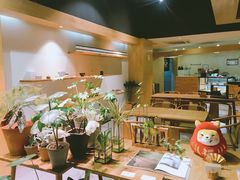 -柴务处·柴犬主题狗咖