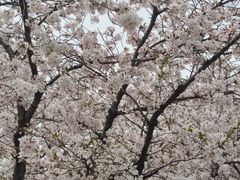 -苏州上方山国家森林公园