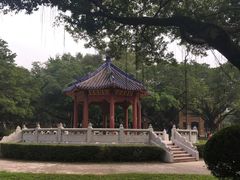 -中山大学学者灵芝(园南路店)