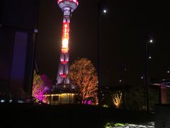 -成都娃娃花园餐厅 (南艺旗舰店)