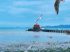 -栈桥景区