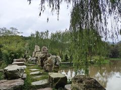 -黄陂区野村谷景区