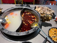 -销魂美蛙鱼头火锅(上海首店)