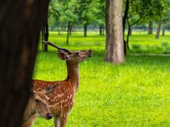 -承德避暑山庄景区