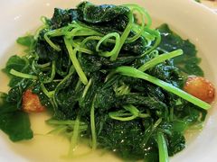 清炒苋菜-利苑酒家(华熙国际店)