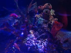 -沈阳海洋探索中心