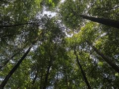 -山王坪喀斯特国家生态公园