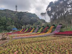 -广州市石门国家森林公园