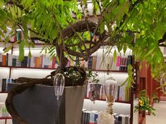 -二酉书店TOYOU BOOKS