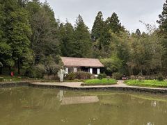 -庐山风景区花径公园