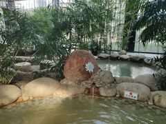 -三江森林温泉度假区