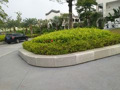 -宝安西湾红树林湿地公园