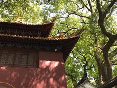 -普陀山风景区-佛顶山