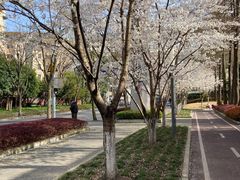 -锦江乐园(地铁站)