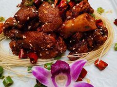 孜香猪蹄-赵小姐丨新中餐(曲江店)