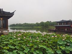 -湘湖大院(越王路店)