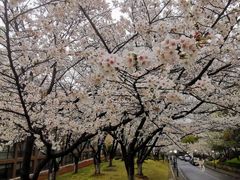 -浙江大学(玉泉校区)