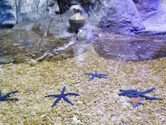-临沂极地海洋王国