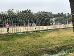 -长洲岛都市农业公园
