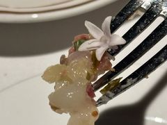 -Oyster Talks 四度蚝法餐厅