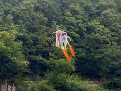 -洛阳白云山景区