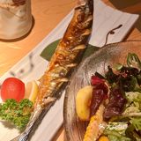 上海宝藏日料‼️环境巨好份量巨大，吃到扶墙出🍣