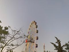 -万绿园