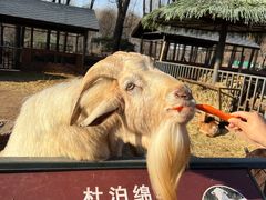 -沈阳森林动物园