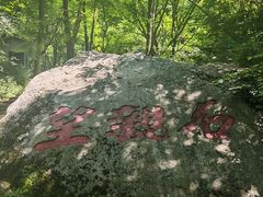 -王顺山国家森林公园