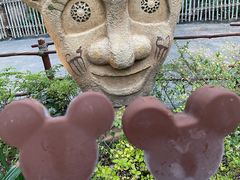 45&nbsp;RMB的蒙牛巧克力雪糕&nbsp;撇除价格&nbsp;味道不错-上海迪士尼度假区