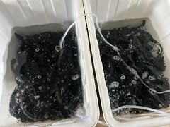-九州酒场ひこぞう(2号店)