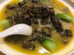 -苏州金科大酒店