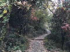 -穹窿山景区