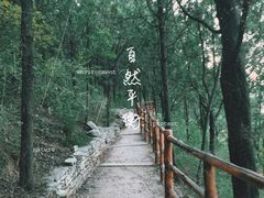 -佛慧山