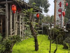 -青城甲(青城山店)