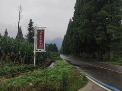 -青城山