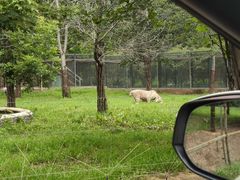 -秦皇岛野生动物园