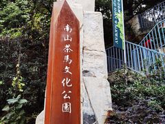 -南山植物园