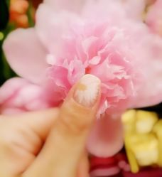 iphone_upload_pic-Easy Lady美甲美睫半永久纹绣工作室