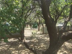 -亲兄弟真人CS团建拓展基地